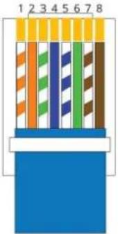 Tema AD639SR - Appendix 4: Cabling of a UTP RJ45 network cable according to the standard EIA568B - 4