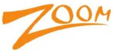 ZOOM