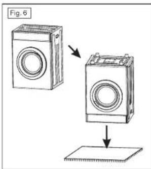Fig. 6