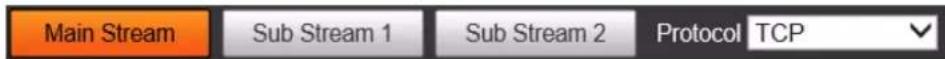 Main Stream Sub Stream 1 Sub Stream 2 Protocol TCP