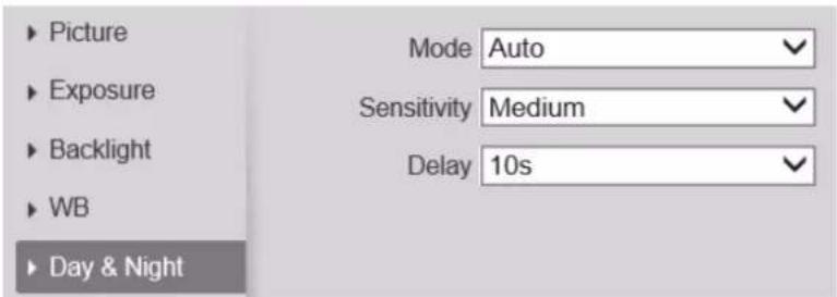 Picture Exposure Backlight WB Day & Night Mode Auto Sensitivity Medium Delay 10s