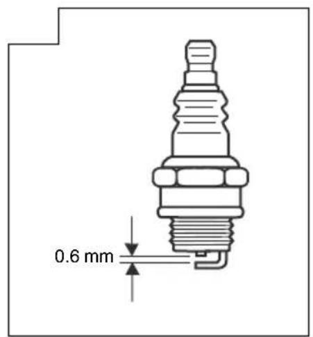 0.6 mm
