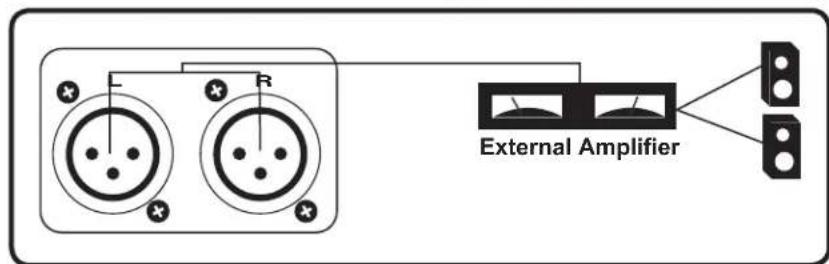 External Amplifier