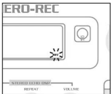 ERO-REC ID PT RFC STEREO ECHO DSP REPEAT VOLUME