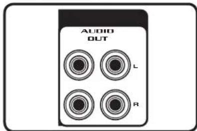 AUDIO OUT L R