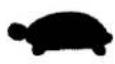 Craftsman 917.376656 - FAMILIARICESE CON SU SEGADORA - 5