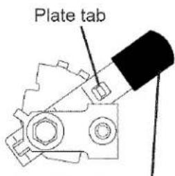 Plate tab