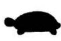 Craftsman 917.376656 - KNOW YOUR LAWN MOWER - 5
