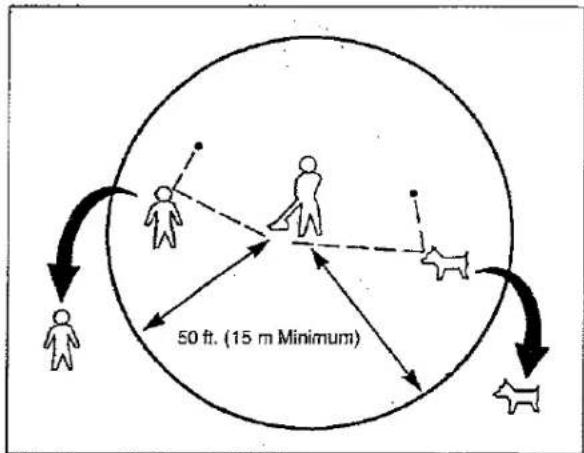 50 ft. (15 m Minimum)