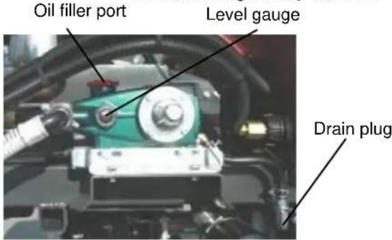 Oil filler port Level gauge Drain plug