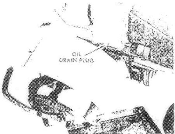 OH DRAIN PLUG