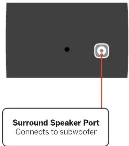 Surround Speaker Port Connects to subwoofer