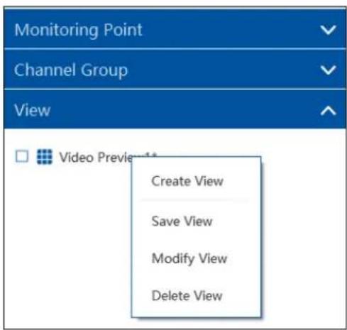 Monitoring Point Channel Group View Video Preview 12 Create View Save View Modify View Delete View