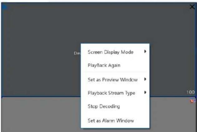 Screen Display Mode Playback Again Set as Preview Window Playback Stream Type Stop Decoding Set as Alarm Window