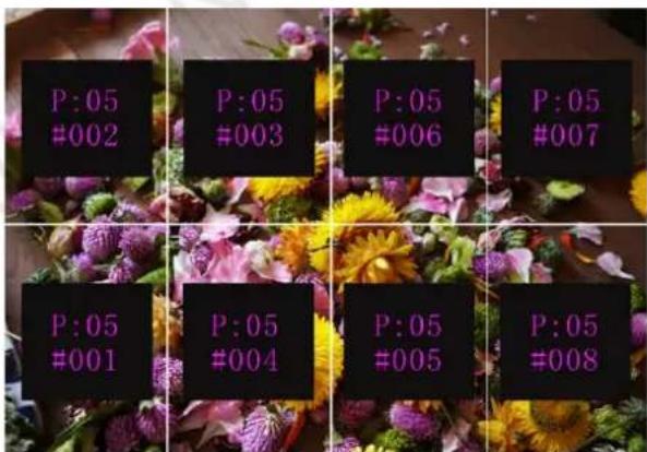 P:05 #002 P:05 #003 P:05 #006 P:05 #007 P:05 #001 P:05 #004 P:05 #005 P:05 #008