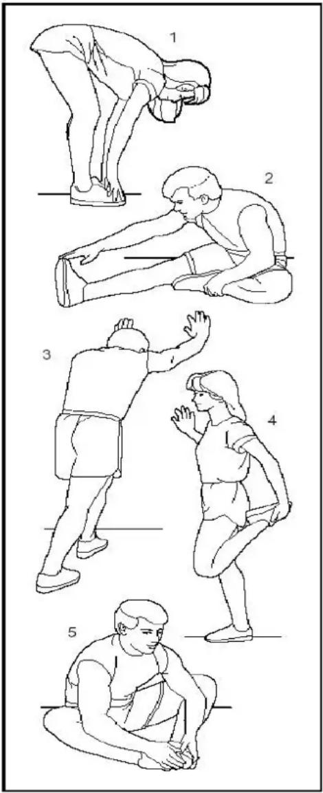 Illustration showing five sequential physical or ergonomic stretching exercises with numbered steps from forward to crouching.