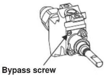Bypass screw