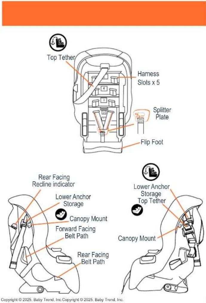 Top Tether Harness Slots x 5 Splitter Plate Flip Foot Rear Facing Recline indicator Lower Anchor Storage Canopy Mount Forward Facing Belt Path Rear Facing Belt Path Lower Anchor Storage Top Tether Canopy Mount Copyright © 2025. Baby Trend, Inc. Copyright © 2025. Baby Trend, Inc.