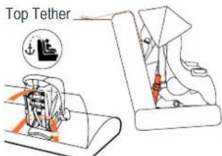 Top Tether