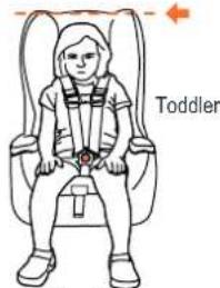 Toddler