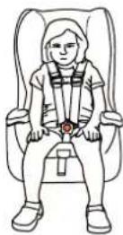 Baby Trend Trooper PLUS 3-in-1 - Child Placement in The Car Seat - 3