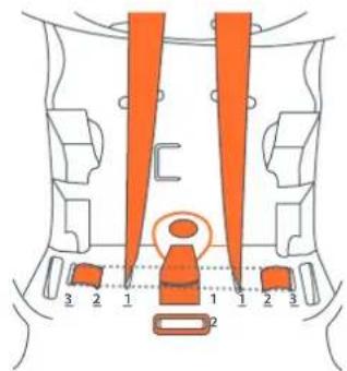Diagram of a vehicle seatbelt with numbered components and orange belt positions