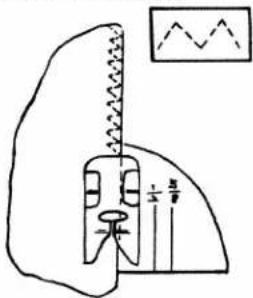 Hand-drawn anatomical diagram of a human heart with labeled measurements and a schematic sketch above it.