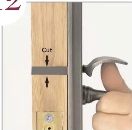 Cut