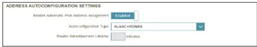 ADDRESS AUTOCONFIGURATION SETTINGS Enable Automatic IPv6 Address Assignment Enabled Autoconfiguration Type SLANC-HONSSR Router Advertisement Lifetime minutes