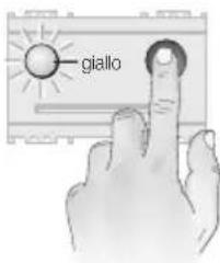 giallo