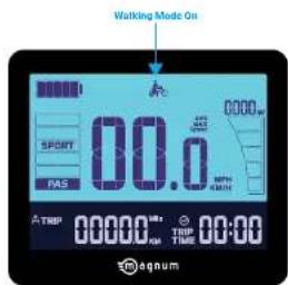 Walking Mode On 00.0 SPORT RAS 0000 RAS RAS RAS RAS TROP 00000.0Hz RAS TROP 00:00 TIME agnum