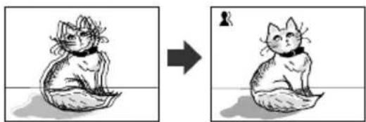 Illustration of a cat sitting on a surface before and after transformation (no text or symbols)
