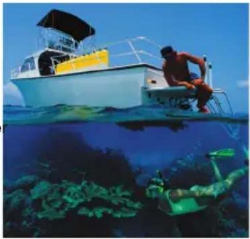 SEALIFE ECOshot SL321 - Recording Video Clips - 1