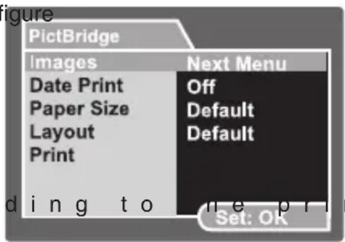PictBridge Images Date Print Paper Size Layout Print Images Next Menu Off Default Default d i n g t o n e p r i n Set: OK