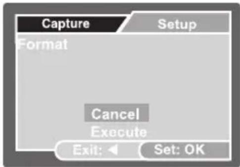Capture Format Setup Cancel Execute Exit: Set: OK