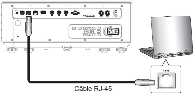 Câble RJ-45 RJ-45