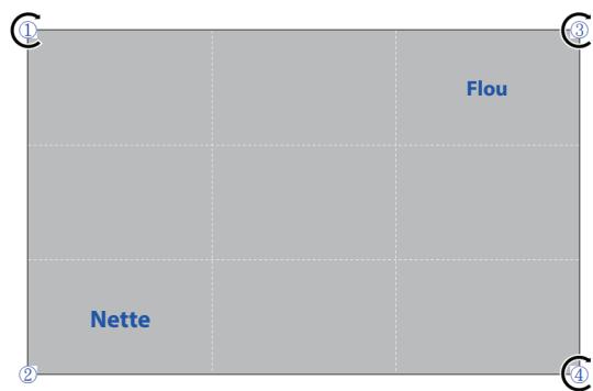 Flou Nette