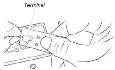 Terminal
