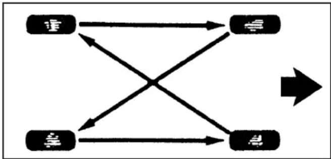 graph TD A["正"] --> B["正"] A --> C["负"] B --> D["正"] B --> E["负"] C --> D C --> E D --> F["→"]