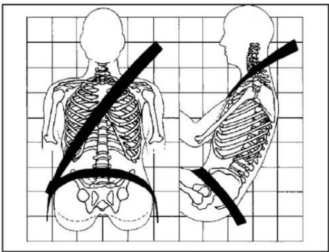 Illustration of human torso and neck with a black band indicating shoulder placement (no text or labels)