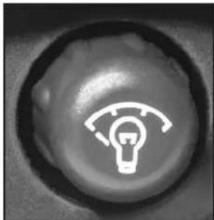 Close-up of a circular button with a white lightbulb icon and curved lines, no text or symbols visible.
