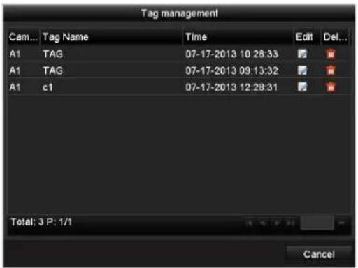 Tag management Cam... Tag Name Time Edit Det... A1 TAG 07-17-2013 10:28:33 A1 TAG 07-17-2013 09:13:32 A1 c1 07-17-2013 12:28:31 Total: 3 P: 1/1 Cancel