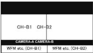 CH-B1 CH-B2 CAMERA-A CAMERA-B WFM etc. (CH-B1) WFM etc. (CH-B2)