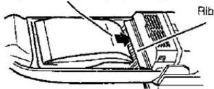 Rib