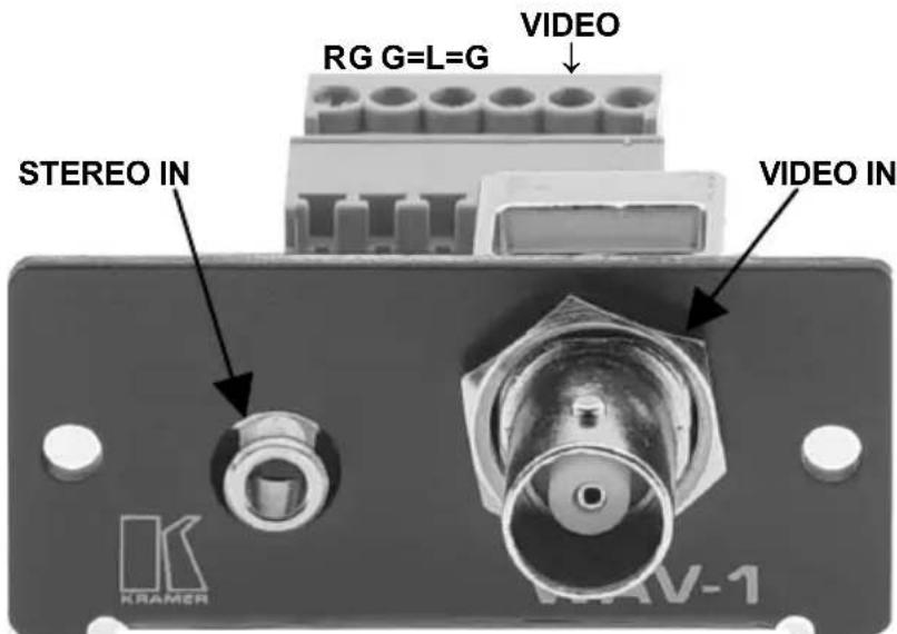 RG G=L=G VIDEO STEREO IN VIDEO IN KRAMER WAV-1
