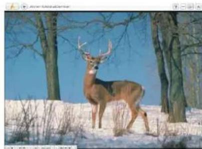 AVERMEDIA Game Broadcaster HD - Picture-in-Picture(PIP) / Picture-by-Picture(PBP) Display - 3