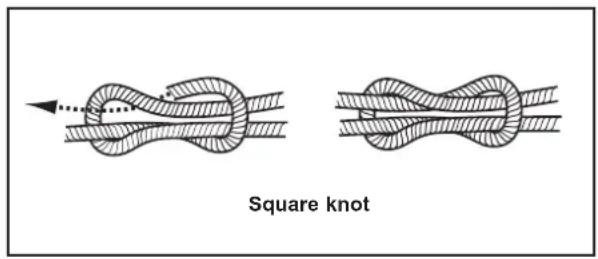 Square knot