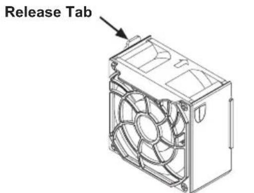 Release Tab