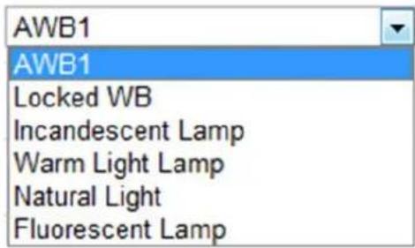 AWB1 AWB1 Locked WB Incandescent Lamp Warm Light Lamp Natural Light Fluorescent Lamp
