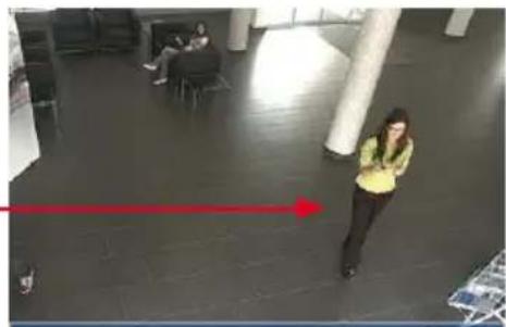 Mobotix MX-D15Di-Sec-Pano - Full Image Recording - 3
